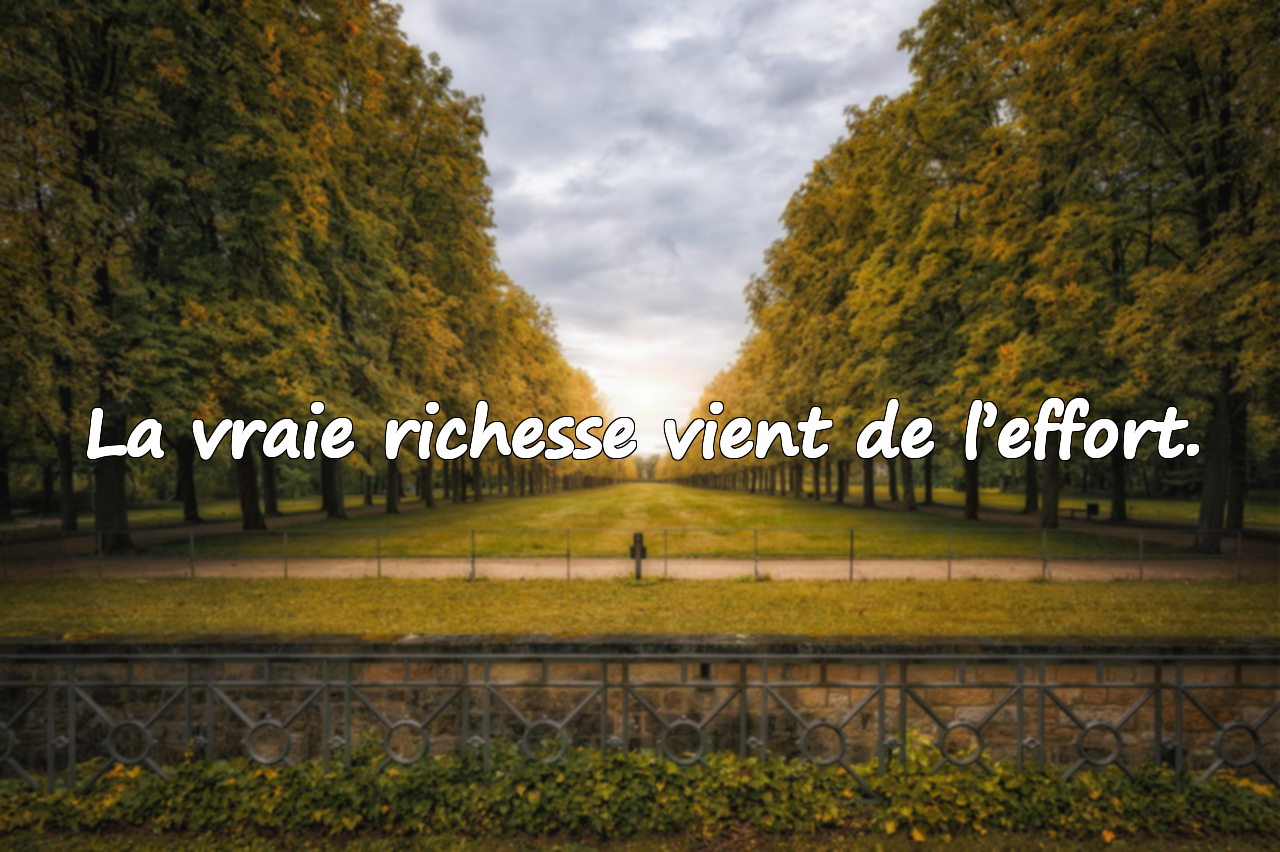 Citations sur l’Effort