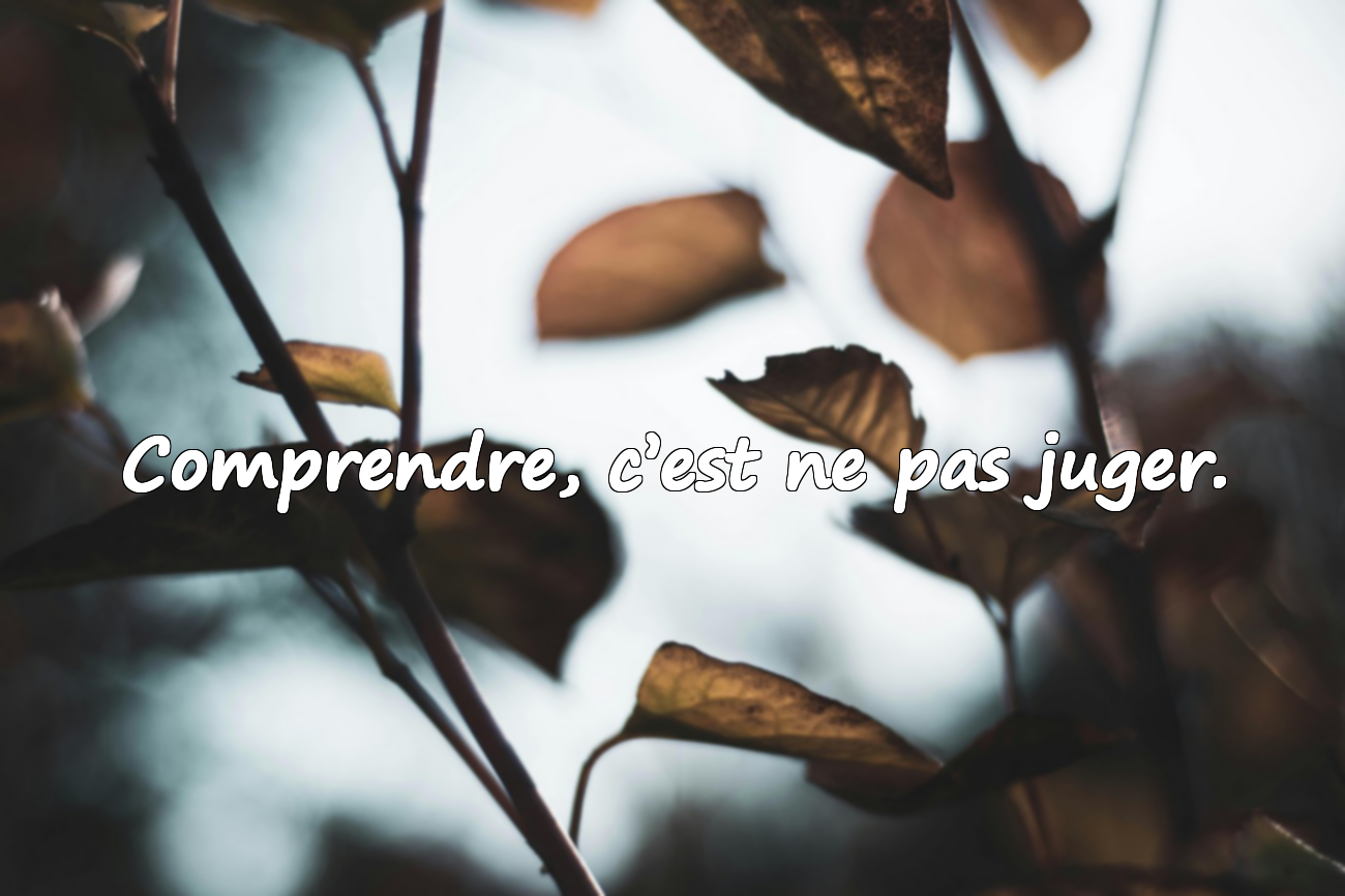 Citations sur l’Empathie