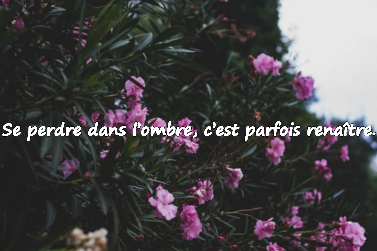 Citations sur l’Obscurité