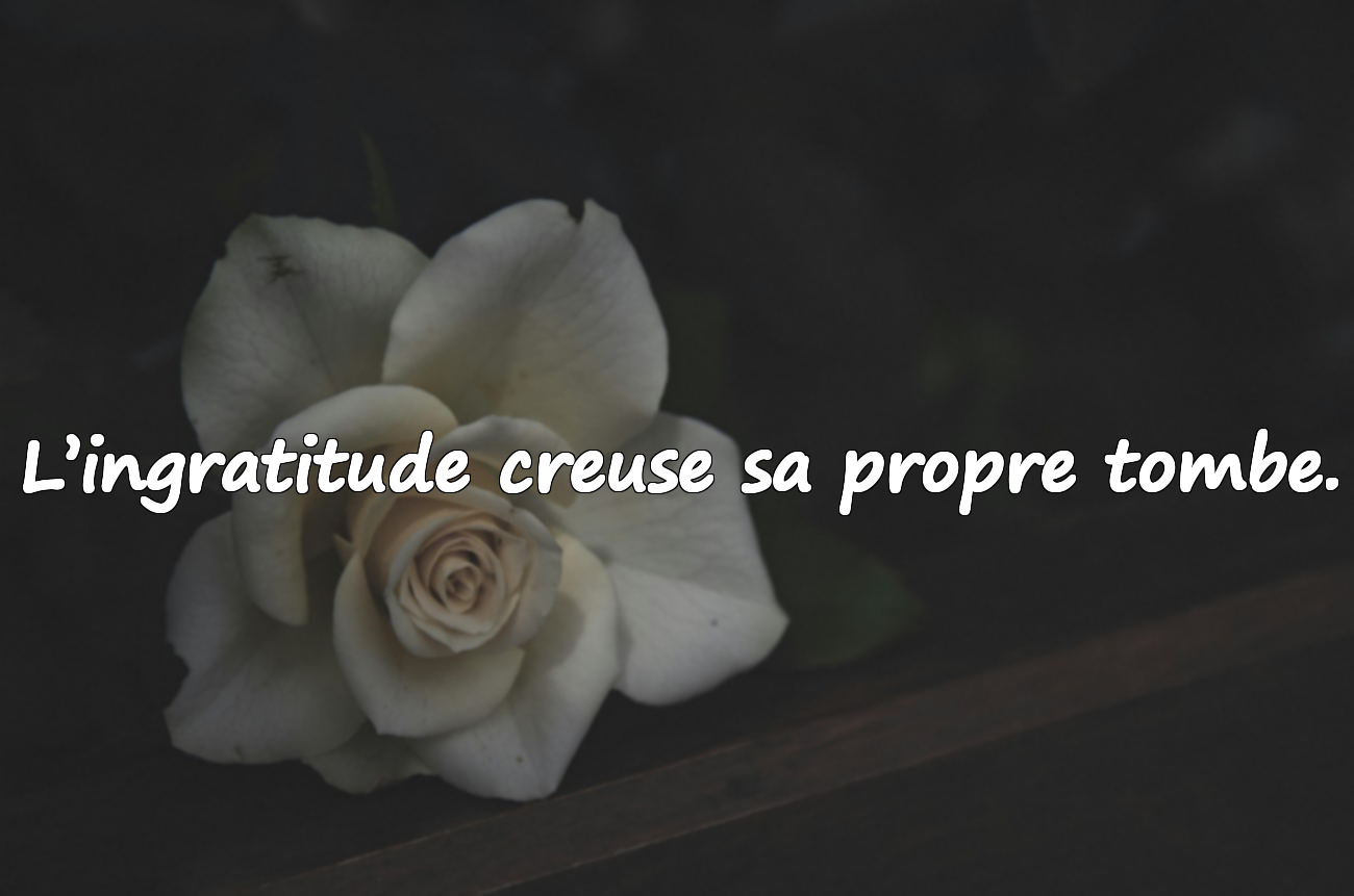 Citations sur l'Ingratitude