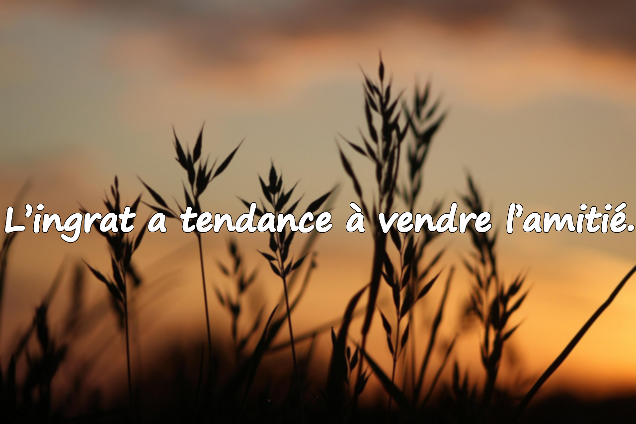 Citations sur l'Ingratitude