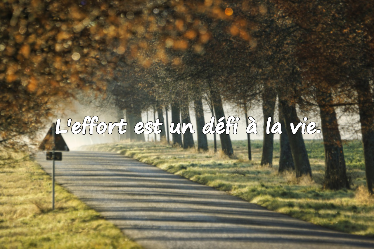Citations sur l'effort
