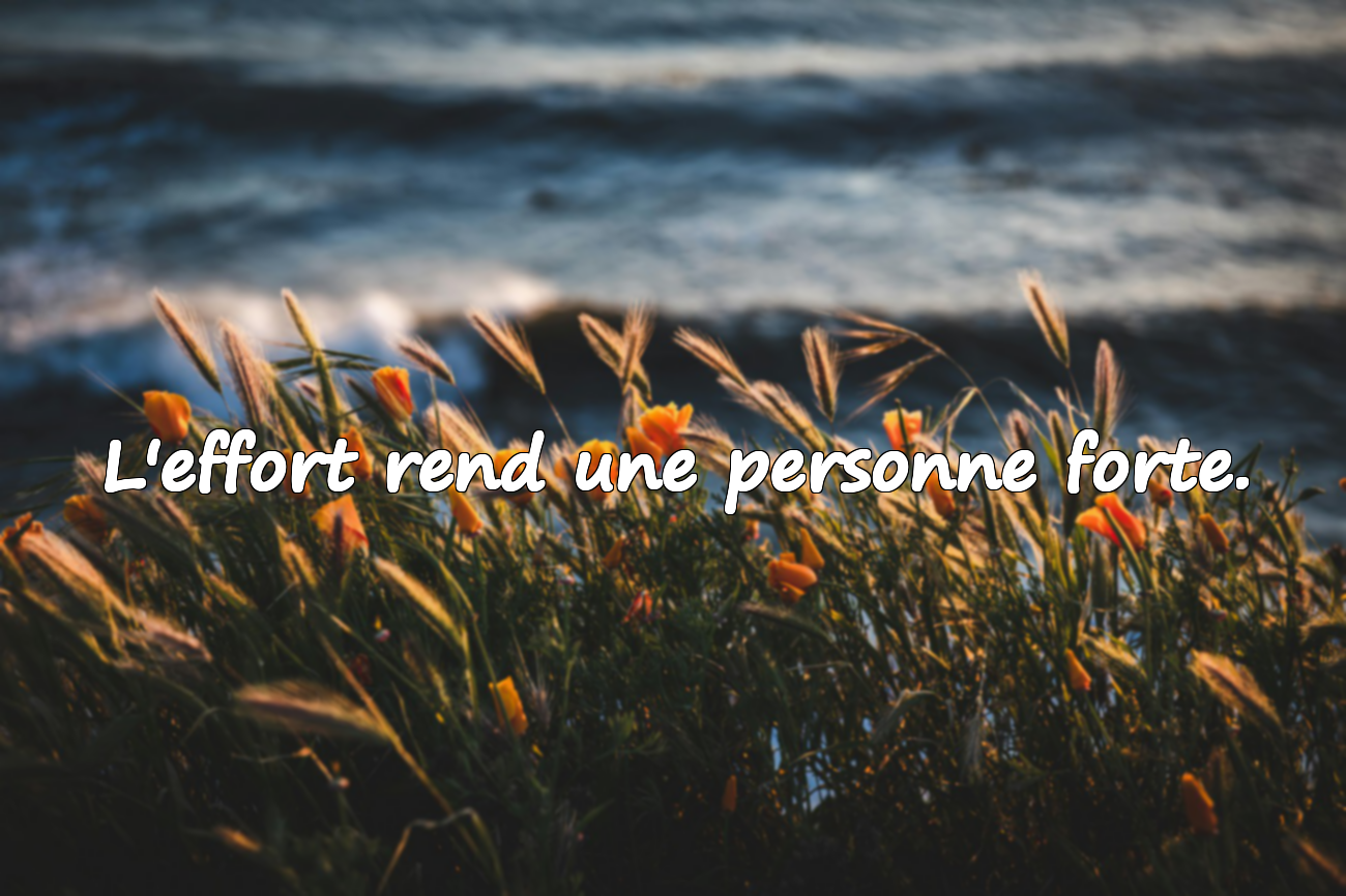Citations sur l'effort
