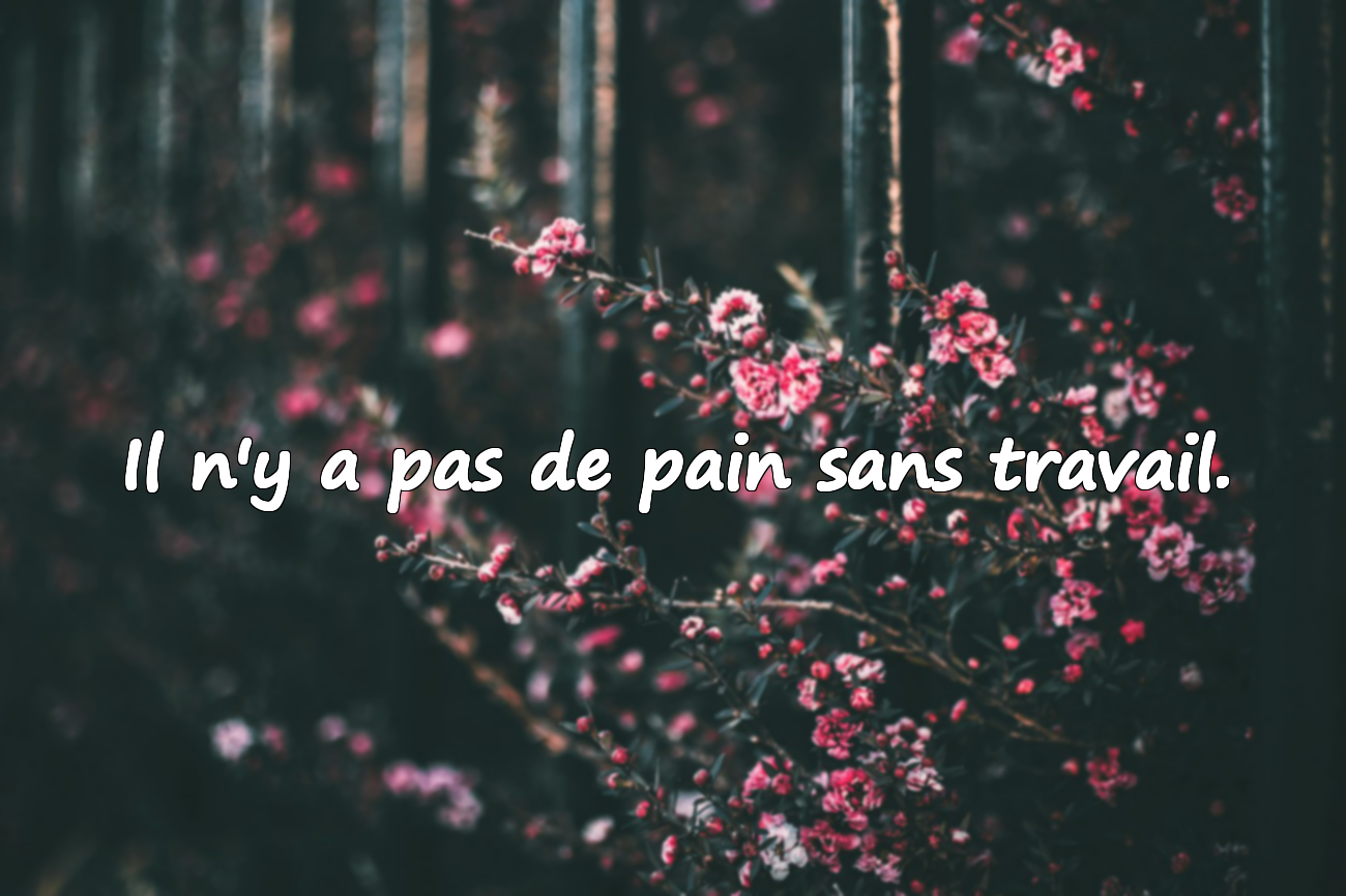 Citations sur l'effort