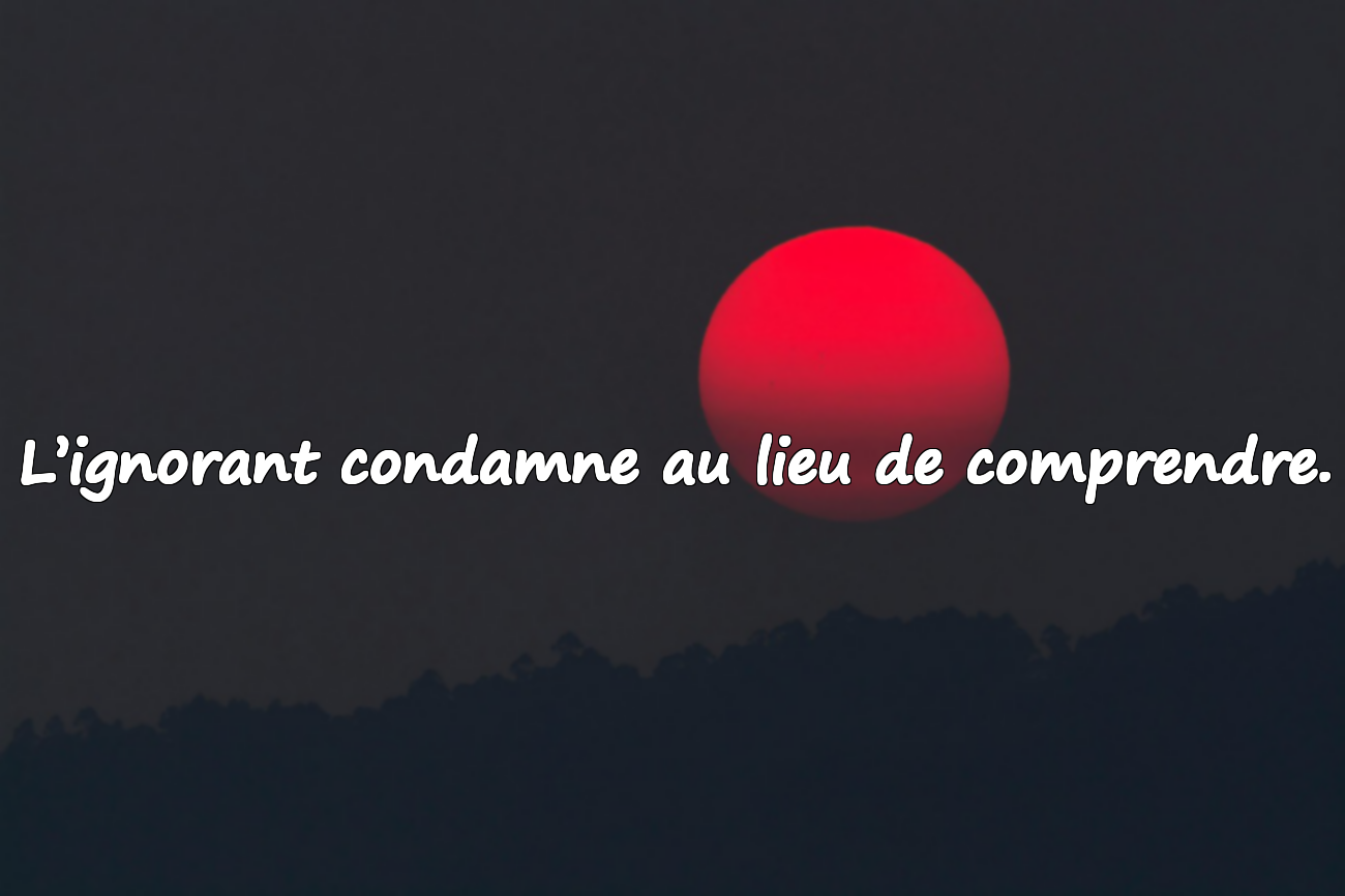 Citations sur l'ignorance