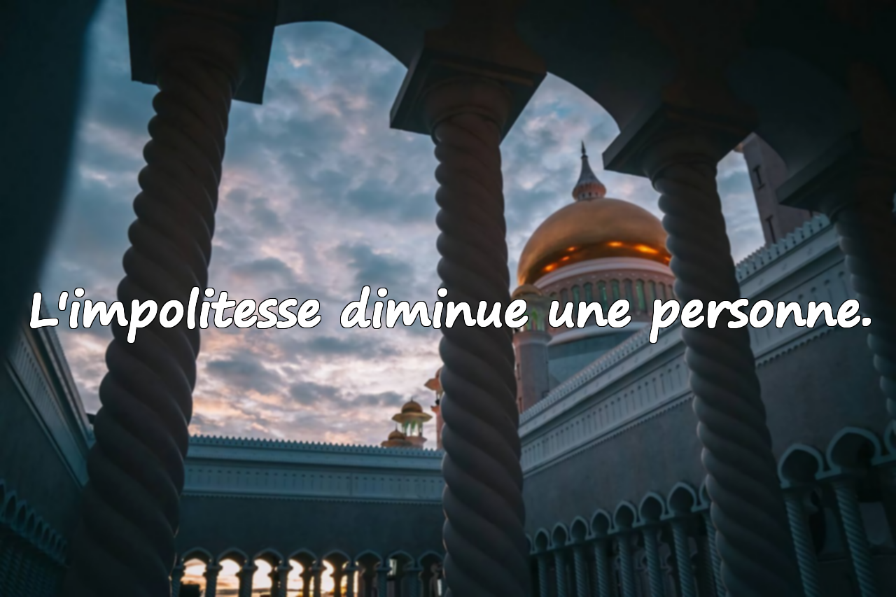 Citations sur l'impolitesse