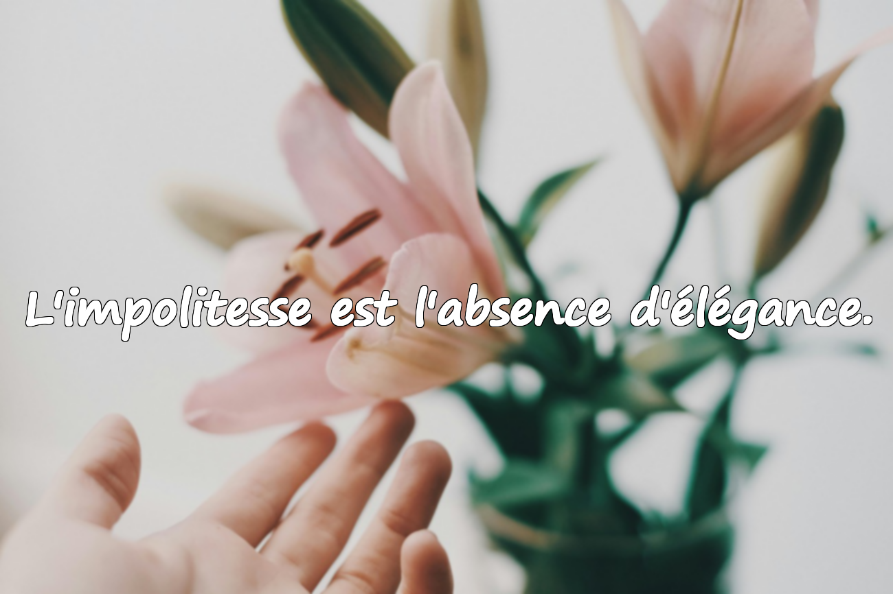 Citations sur l'impolitesse