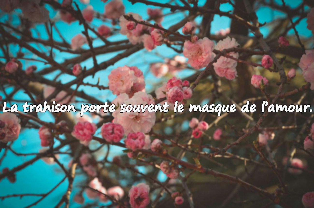 La trahison porte souvent le masque de l’amour.