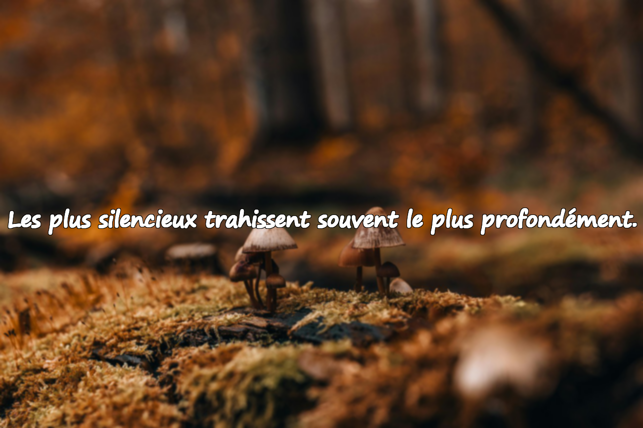 Les plus silencieux trahissent souvent le plus profondément.
