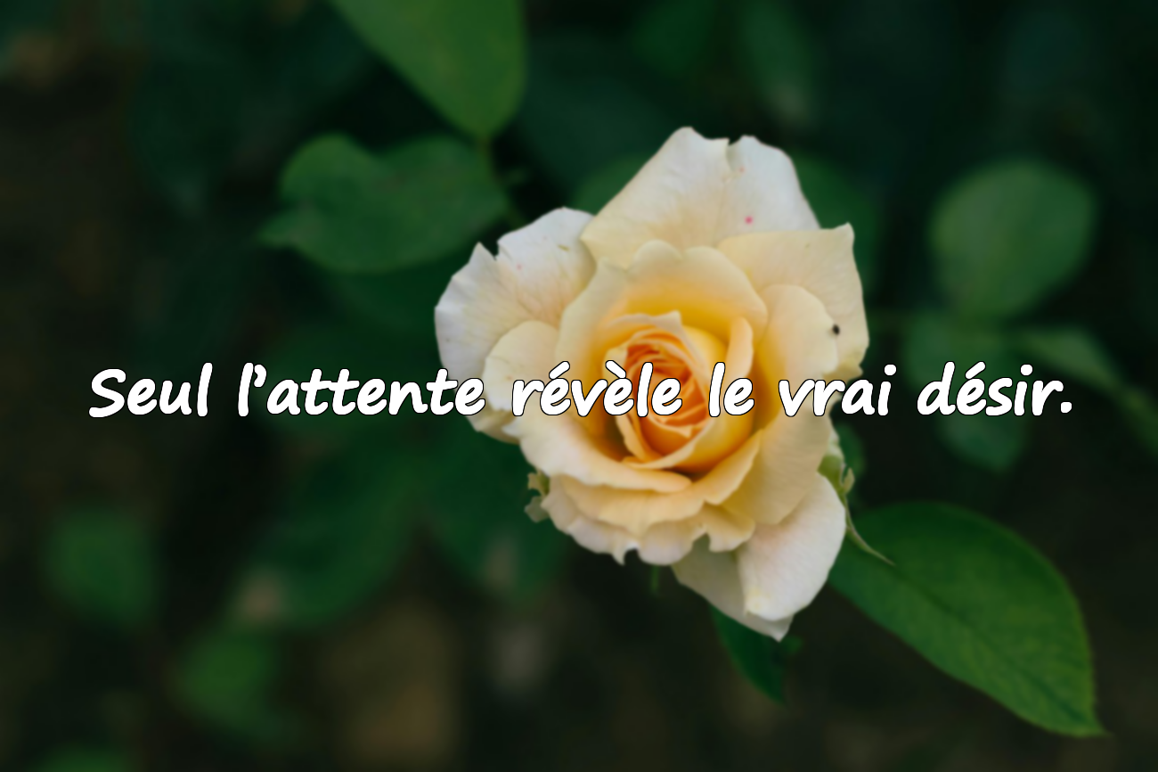 Citations sur l’attente