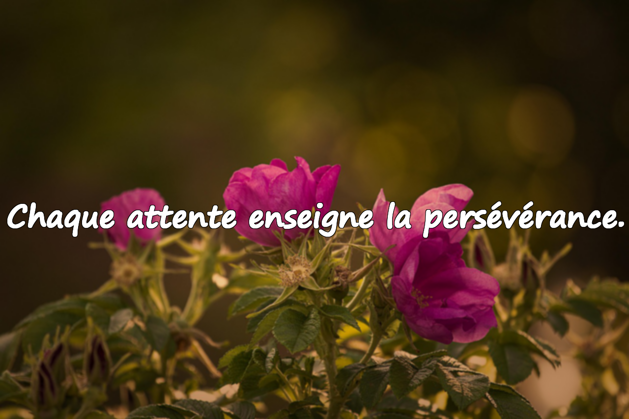 Citations sur l’attente