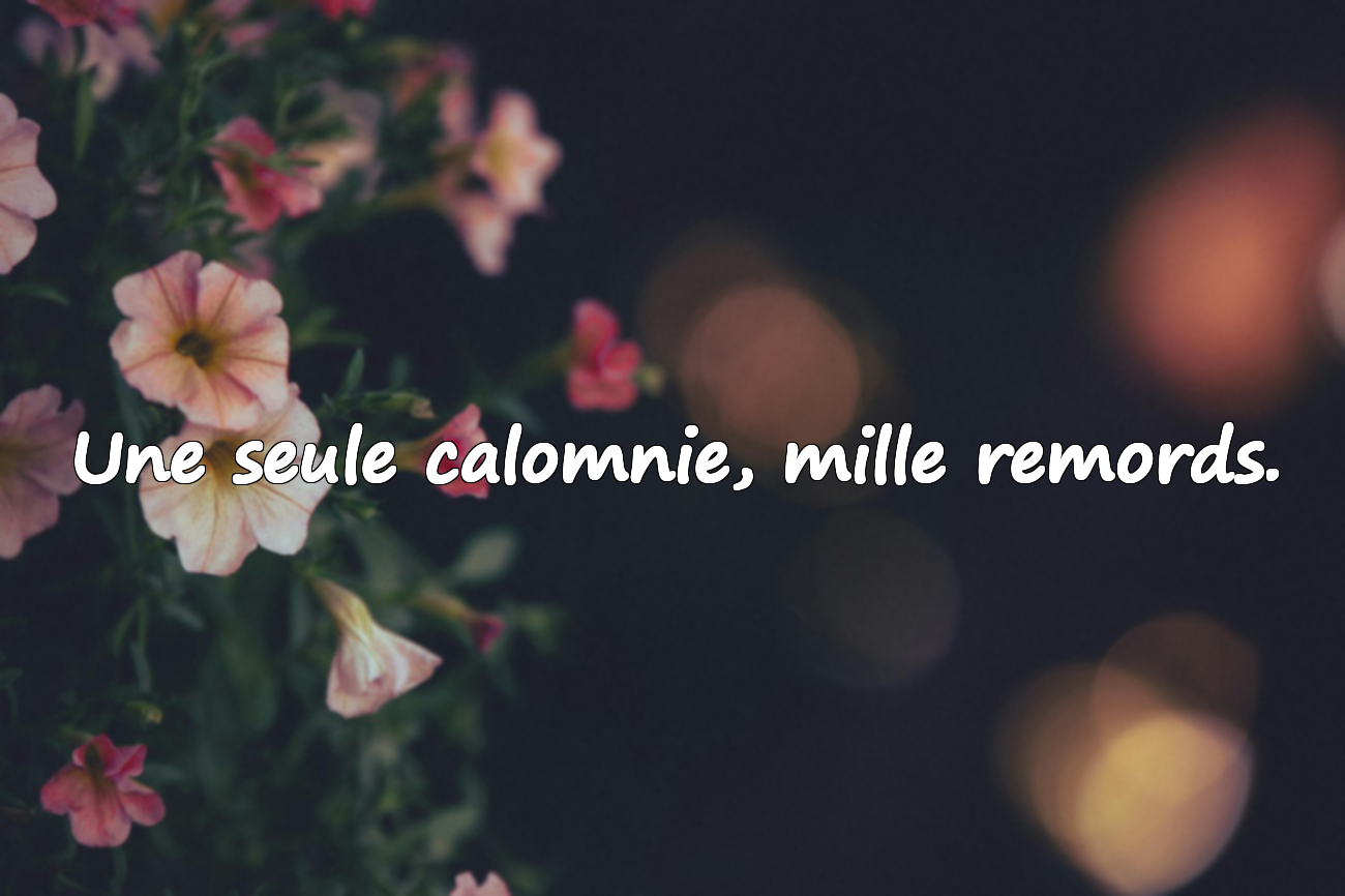 Citations sur la Calomnie
