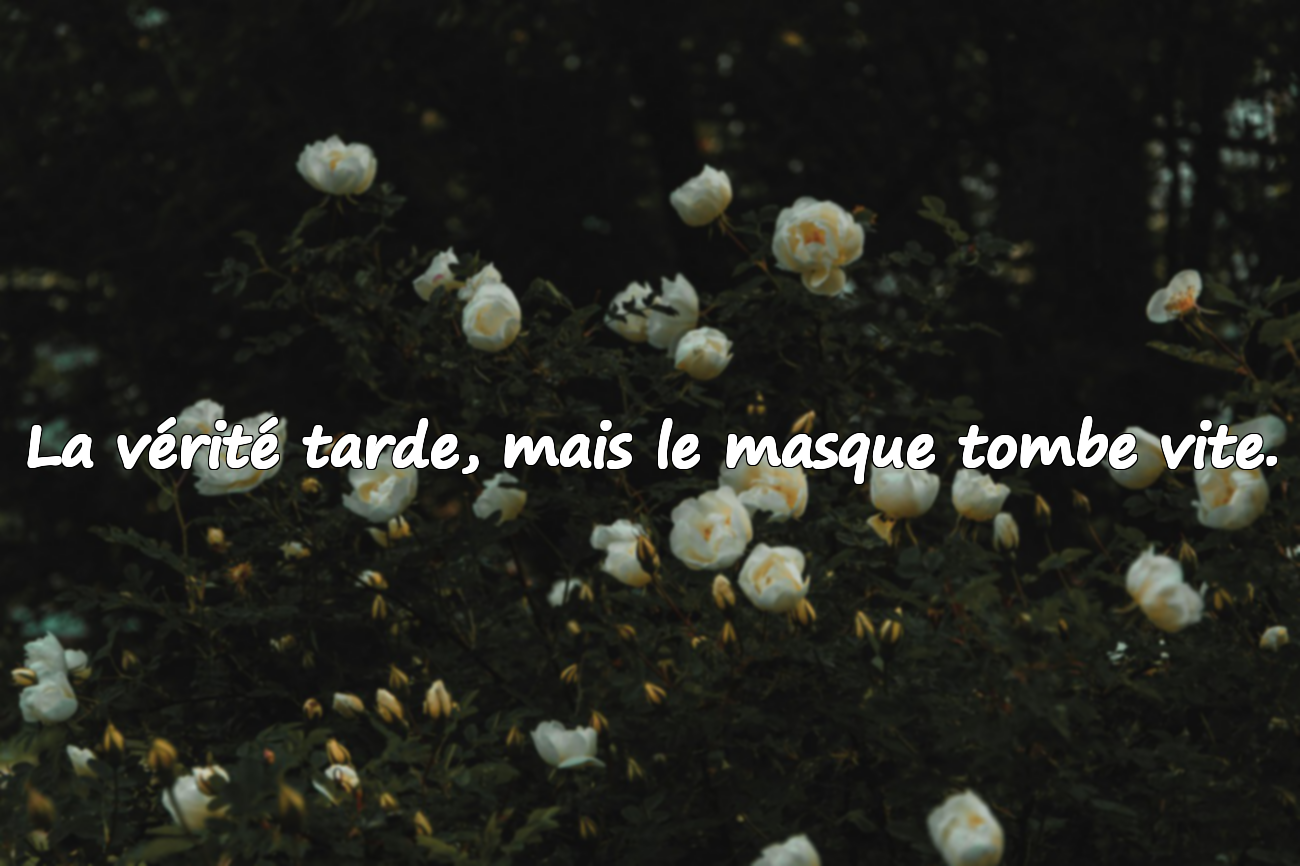 Citations sur la Calomnie