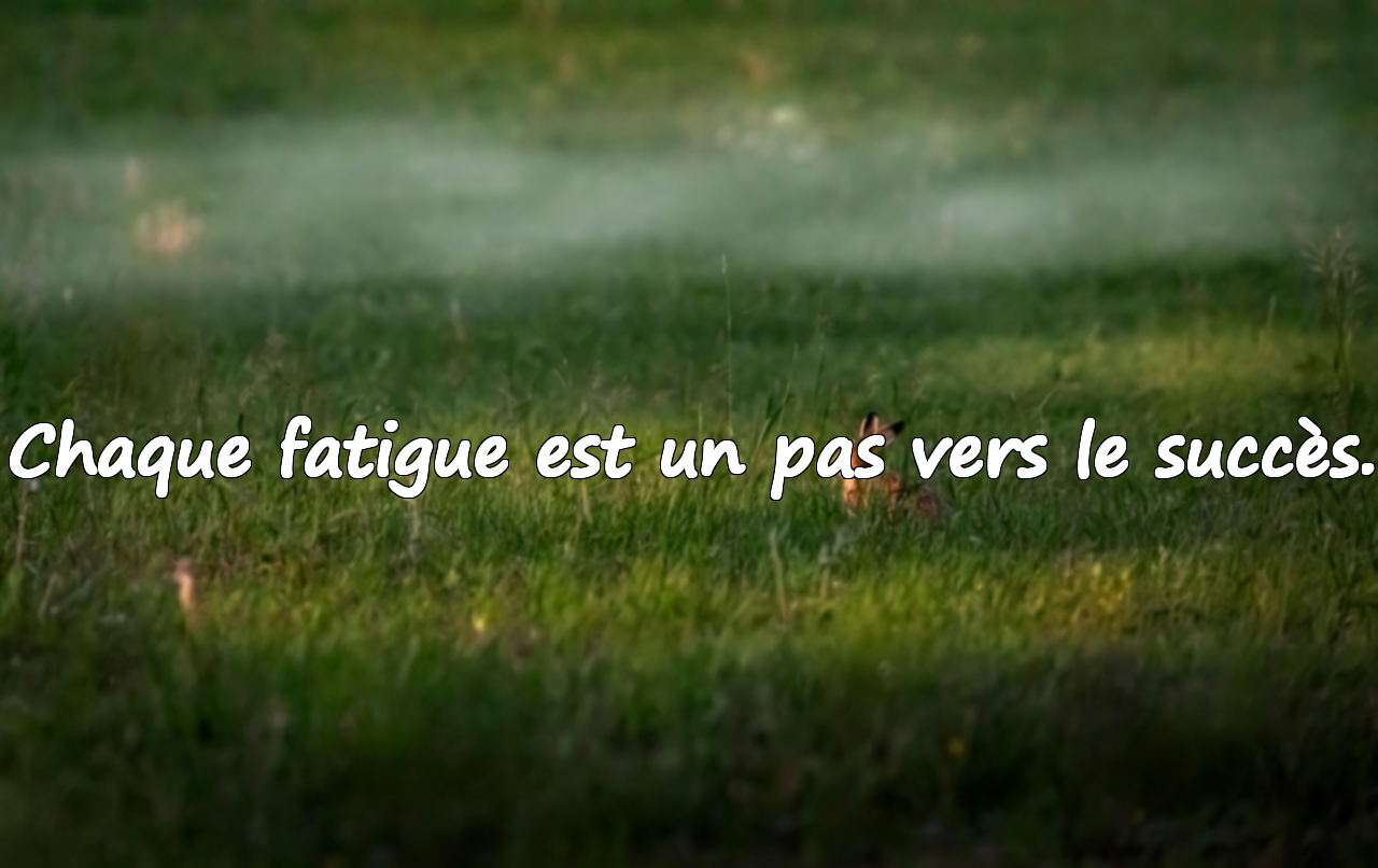 Citations sur la Fatigue
