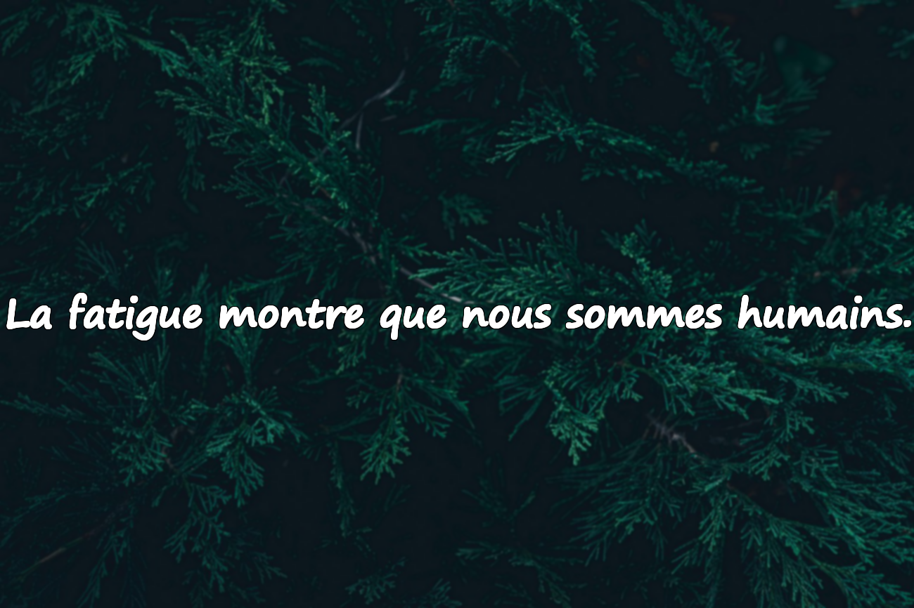 Citations sur la Fatigue