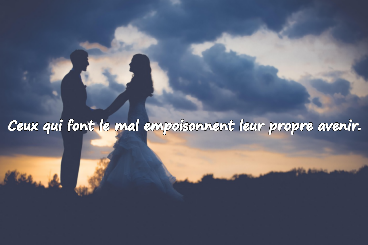 Citations sur la Méchanceté