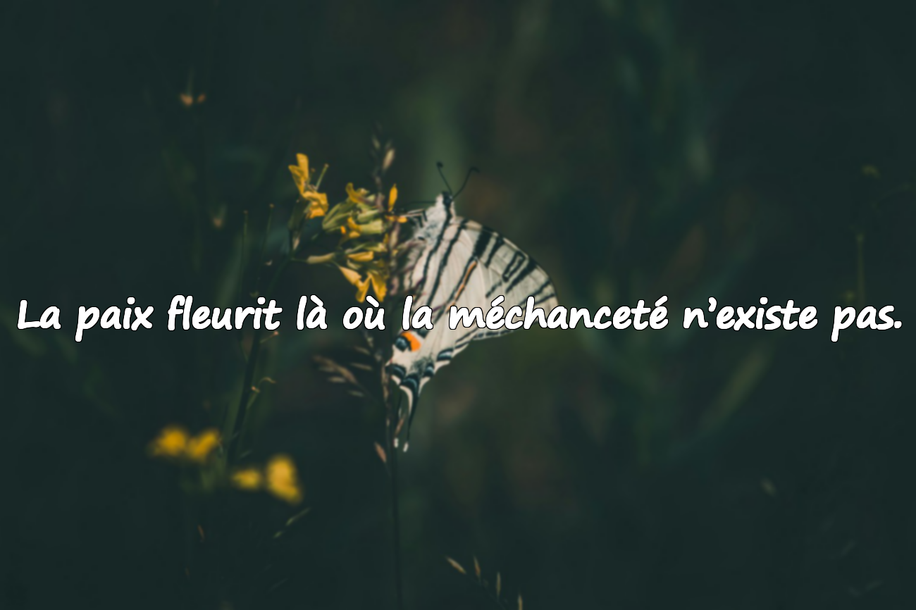 Citations sur la Méchanceté