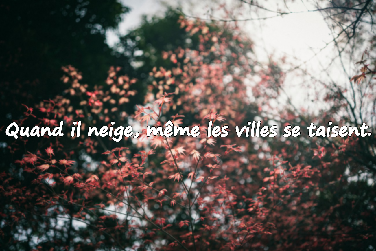 Citations sur la Neige