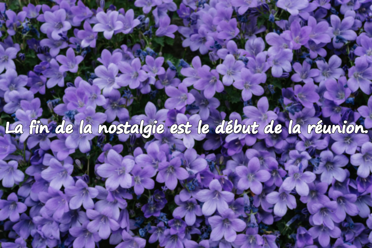 La fin de la nostalgie est le début de la réunion.
