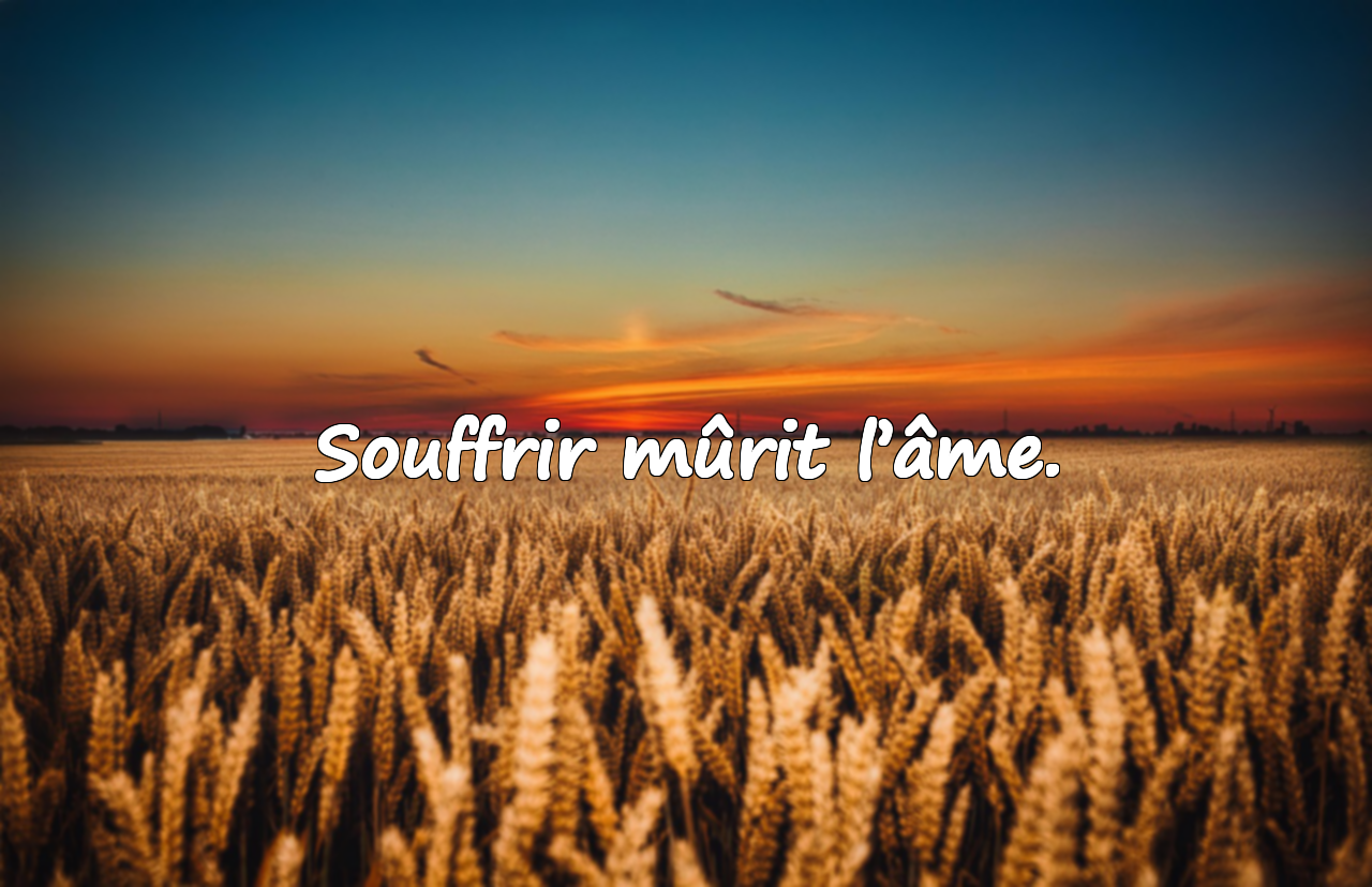 Citations sur la Souffrance
