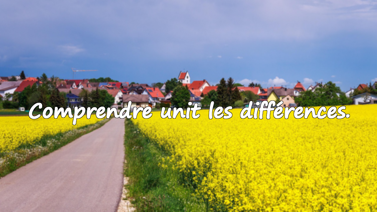 Citations sur la compréhension