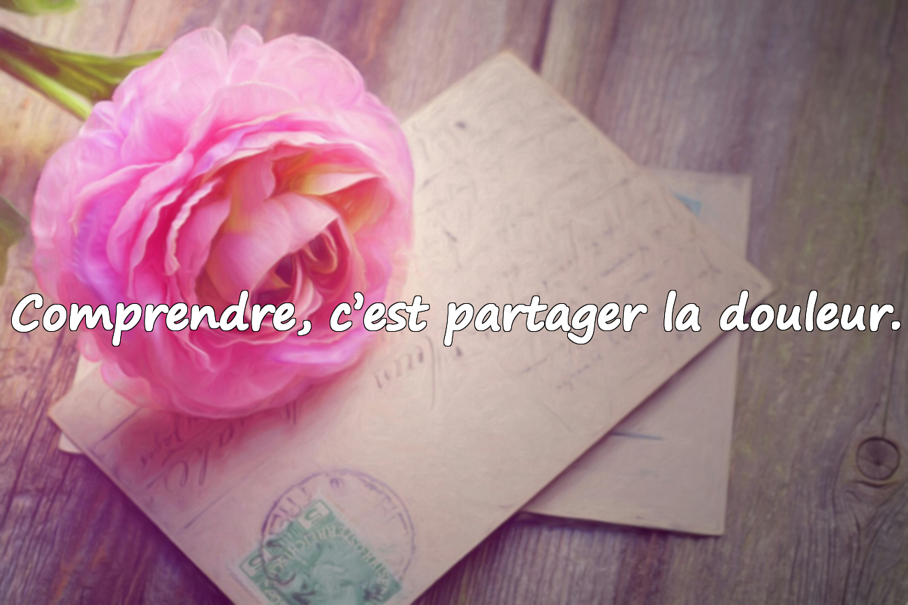 Citations sur la compréhension