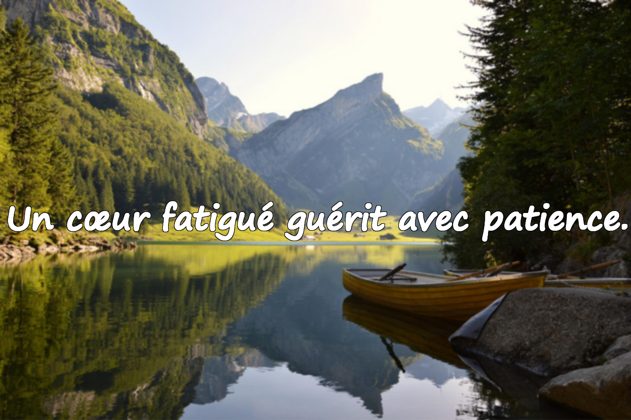 Un cœur fatigué guérit avec patience.