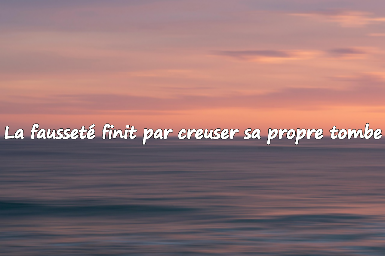 Citations sur la fausseté