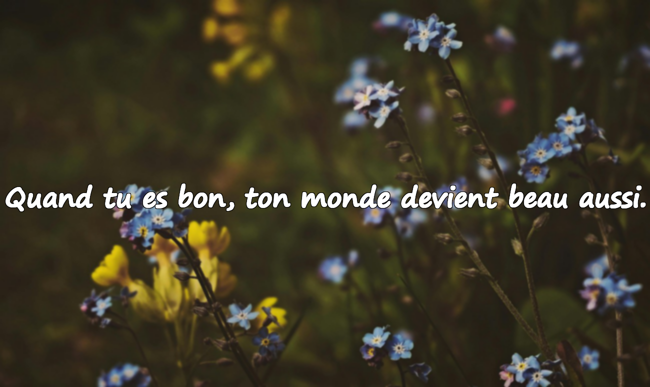 Citations sur la gentillesse