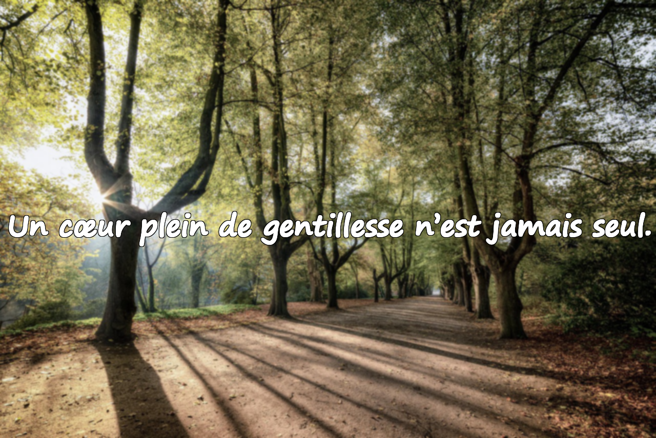 Citations sur la gentillesse