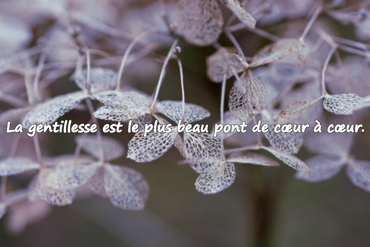 Citations sur la gentillesse