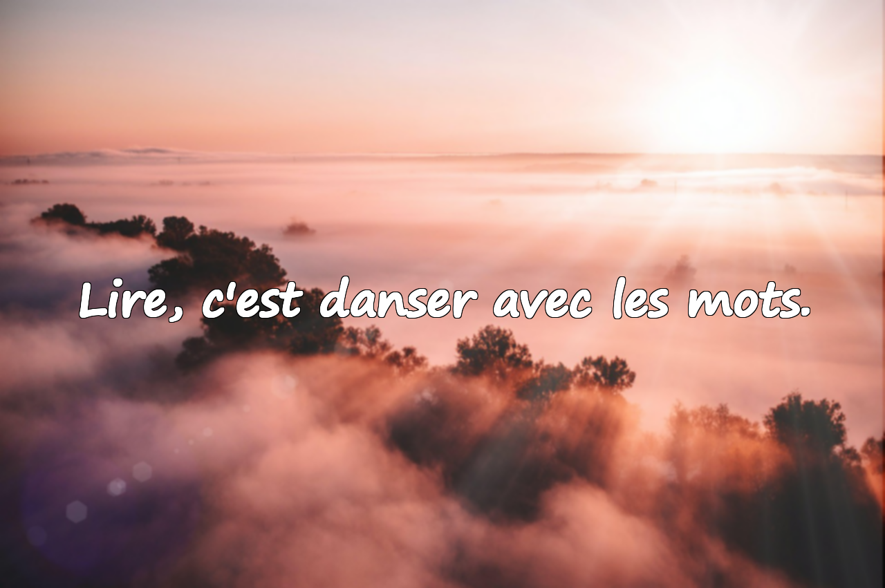 Citations sur la lecture de livres