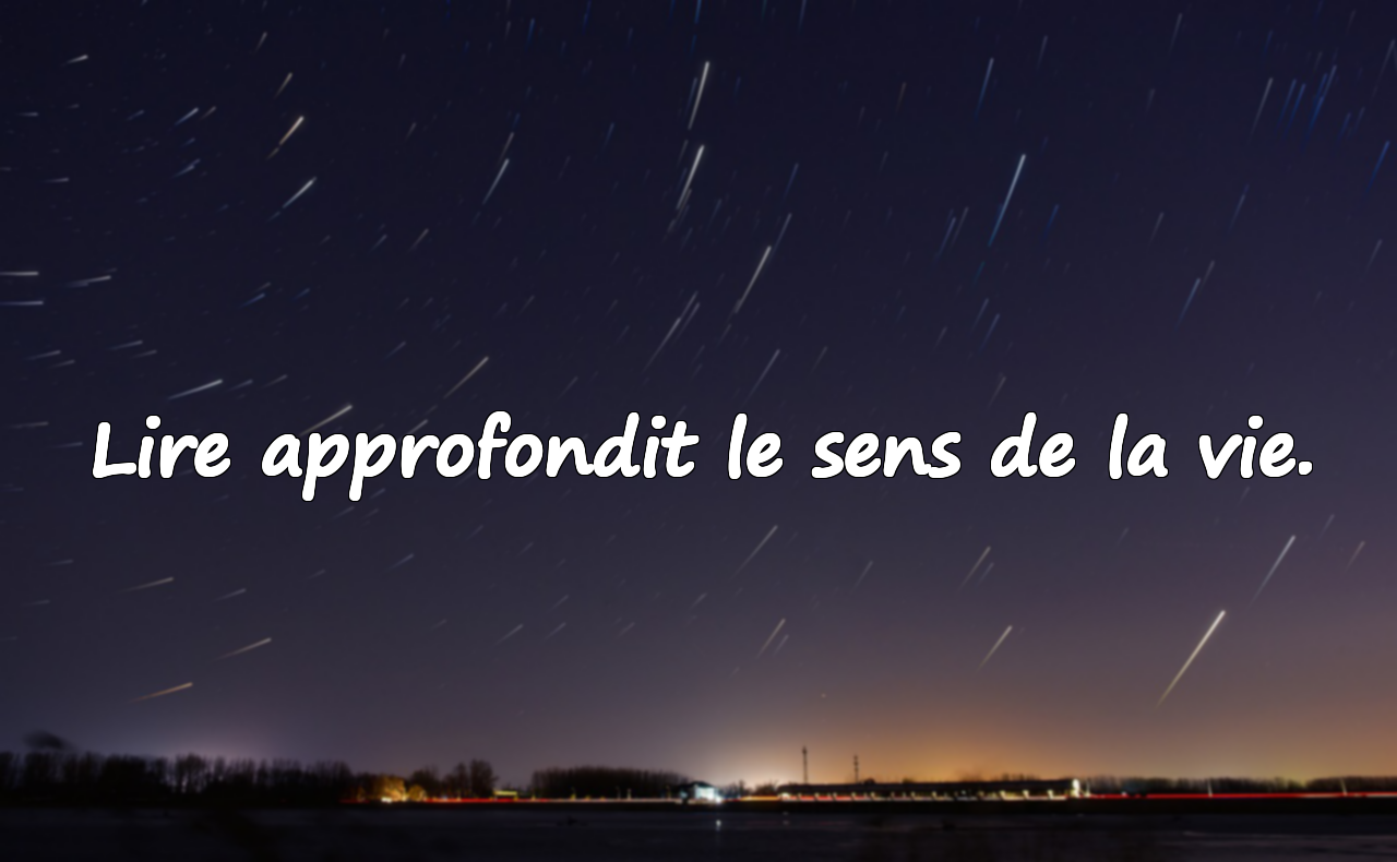 Citations sur la lecture de livres