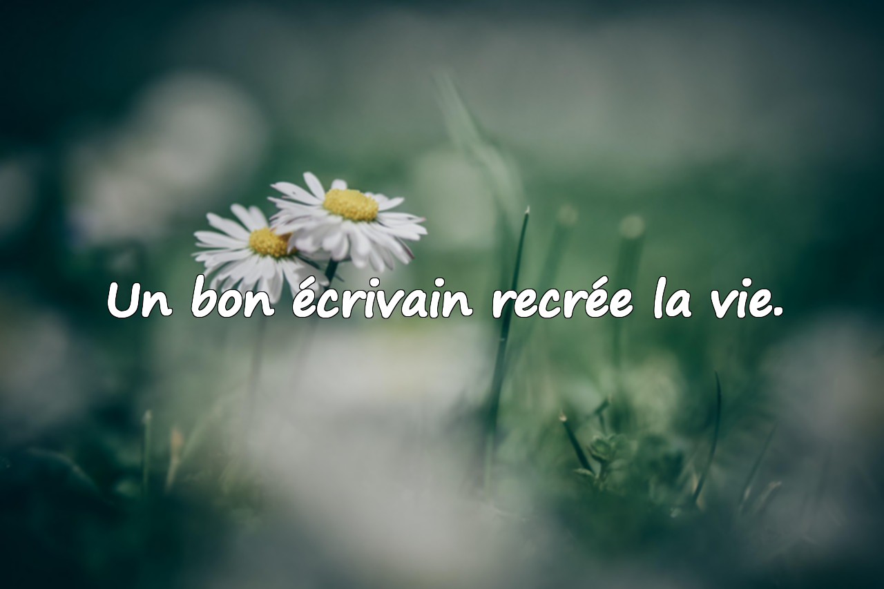 Citations sur la littérature