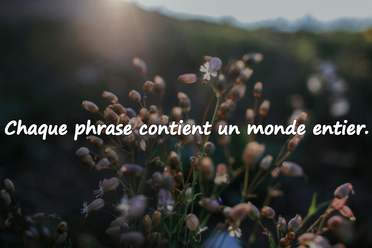 Citations sur la littérature