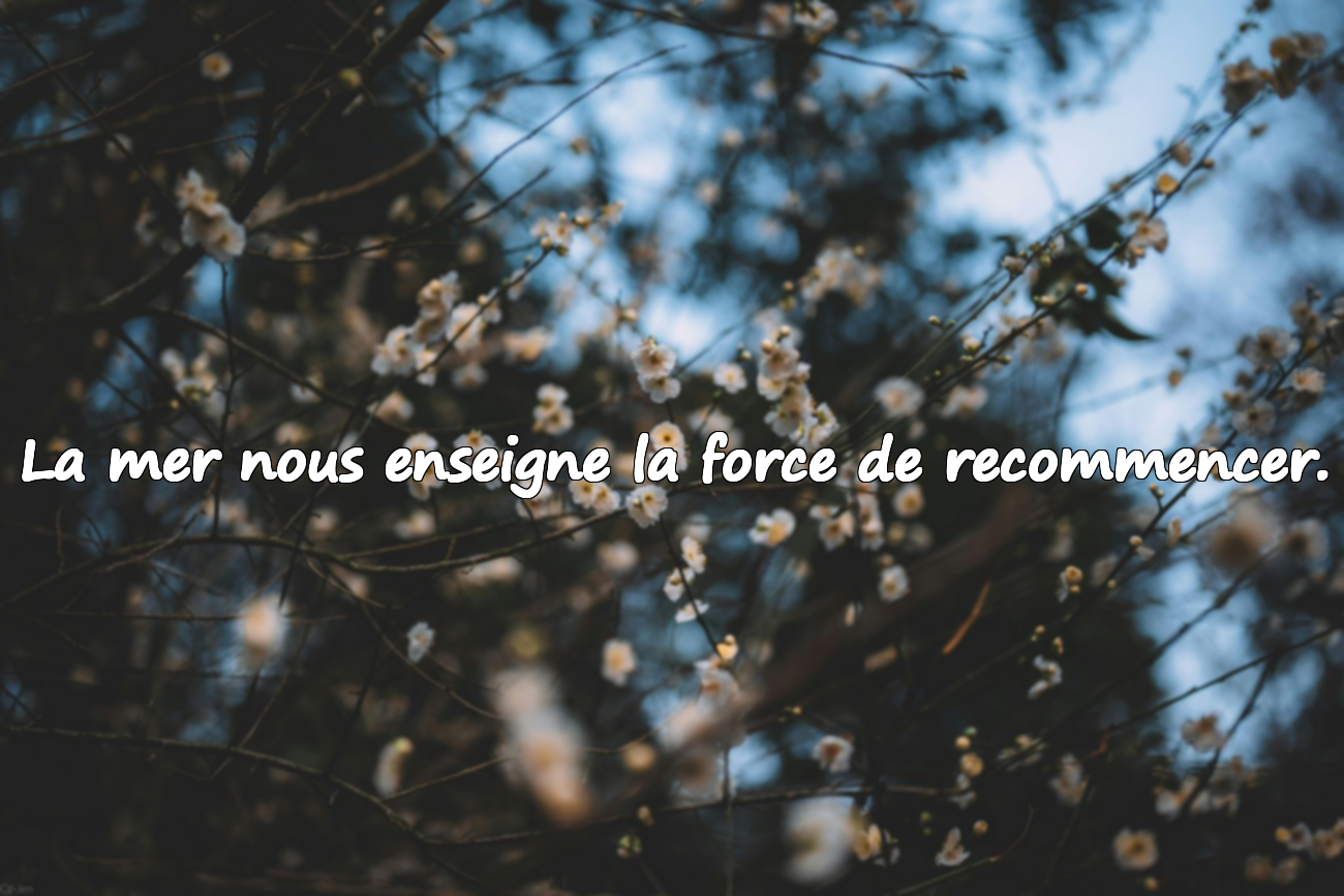 Citations sur la mer