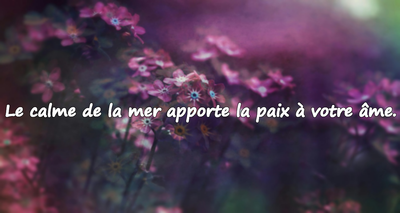 Citations sur la mer