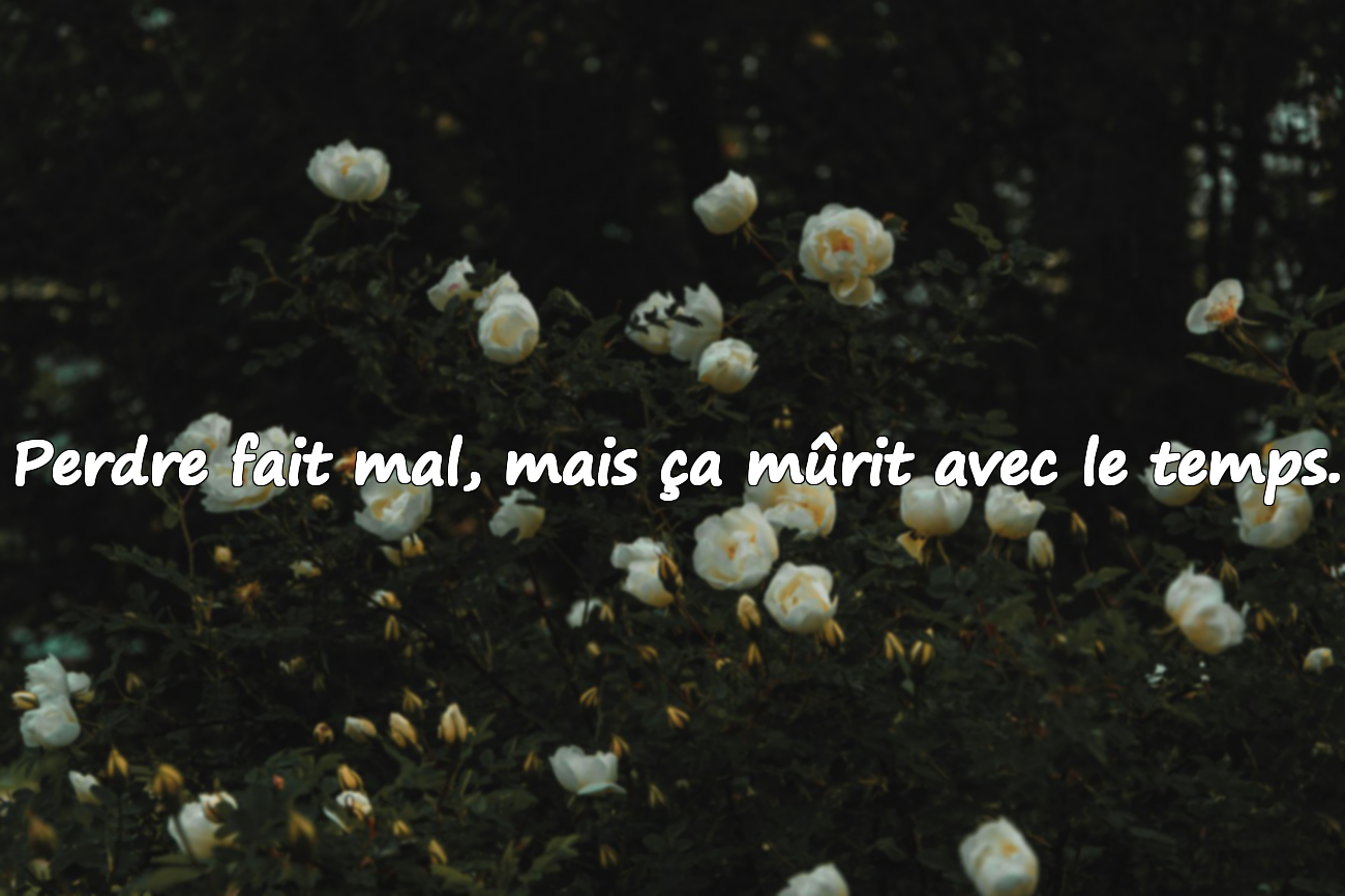Perdre fait mal, mais ça mûrit avec le temps.