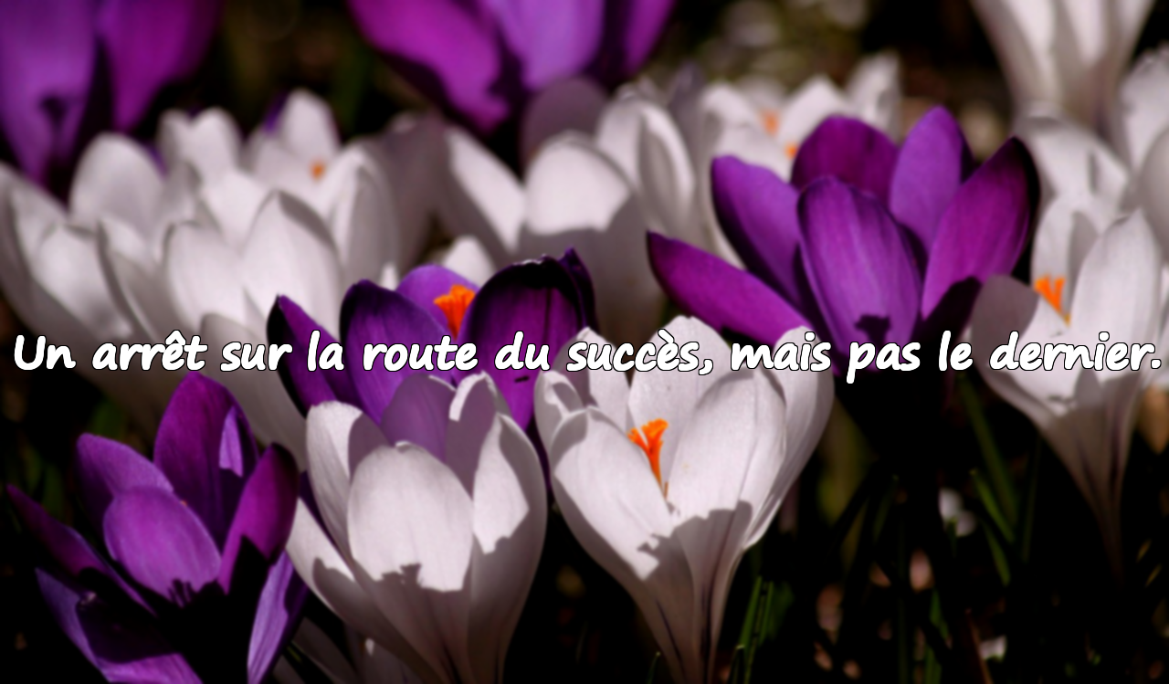 Un arrêt sur la route du succès, mais pas le dernier.
