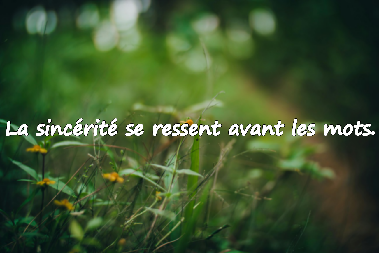 Citations sur la sincérité