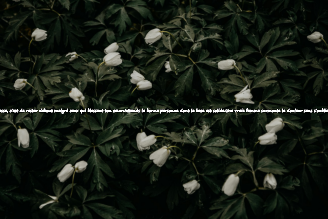 Citations sur la trahison