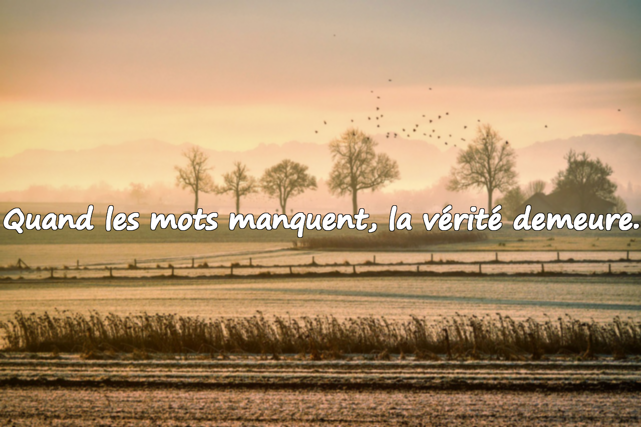 Citations sur la vérité
