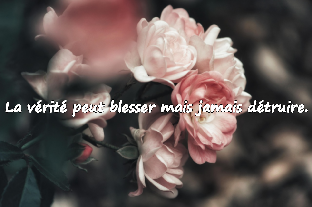 Citations sur la vérité