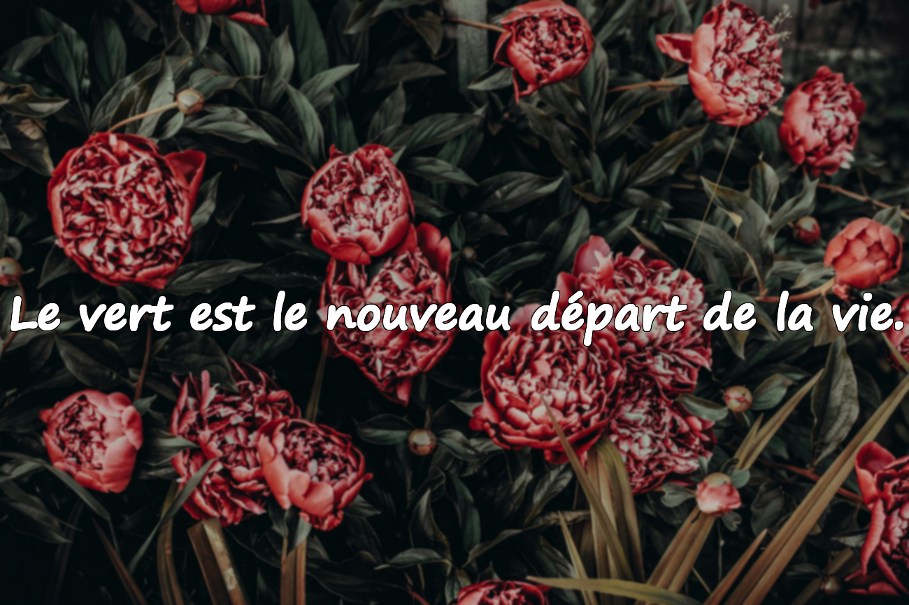 Citations sur la verdure et la nature