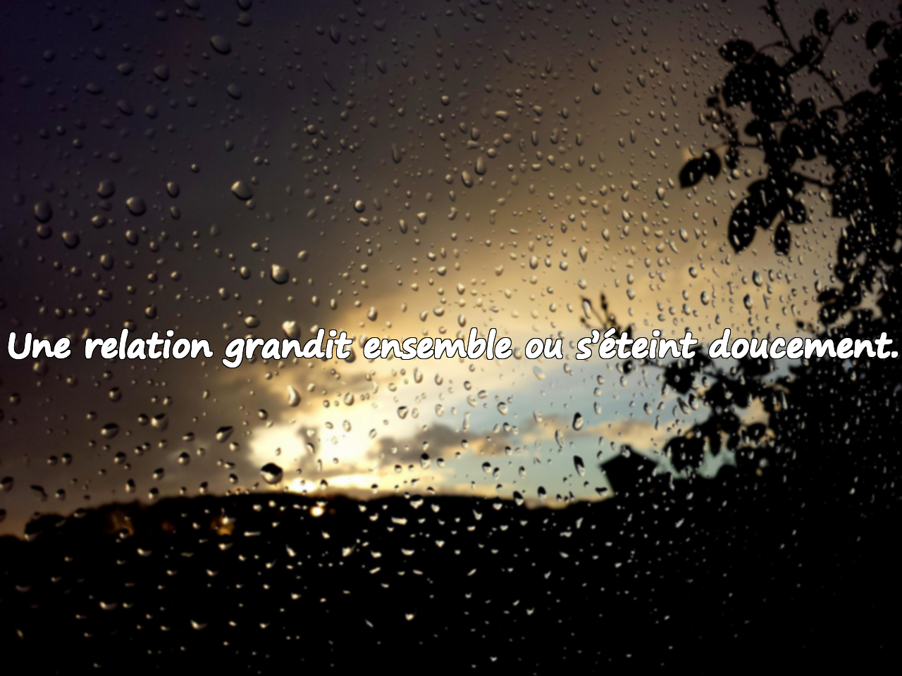 Citations sur le Changement dans les Relations