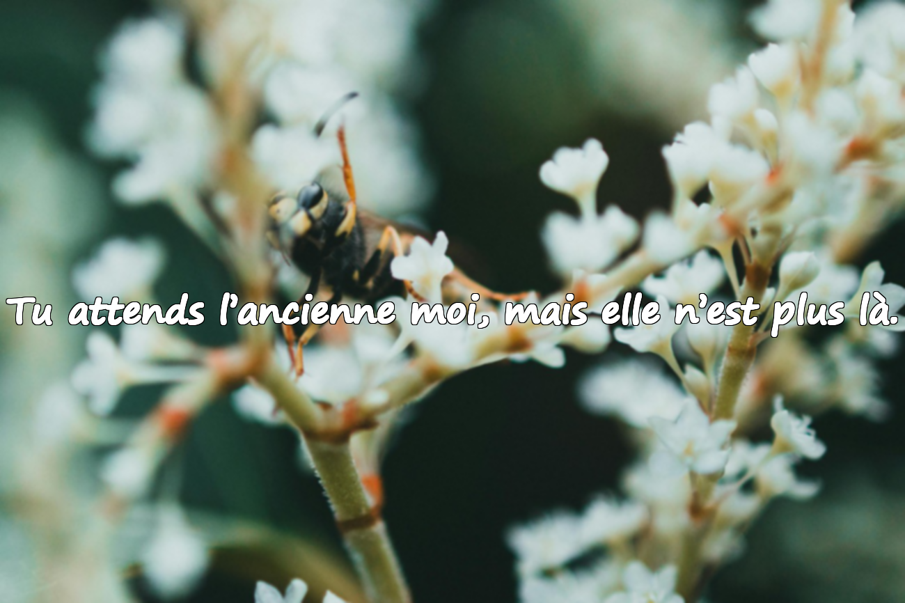 Citations sur le Changement dans les Relations