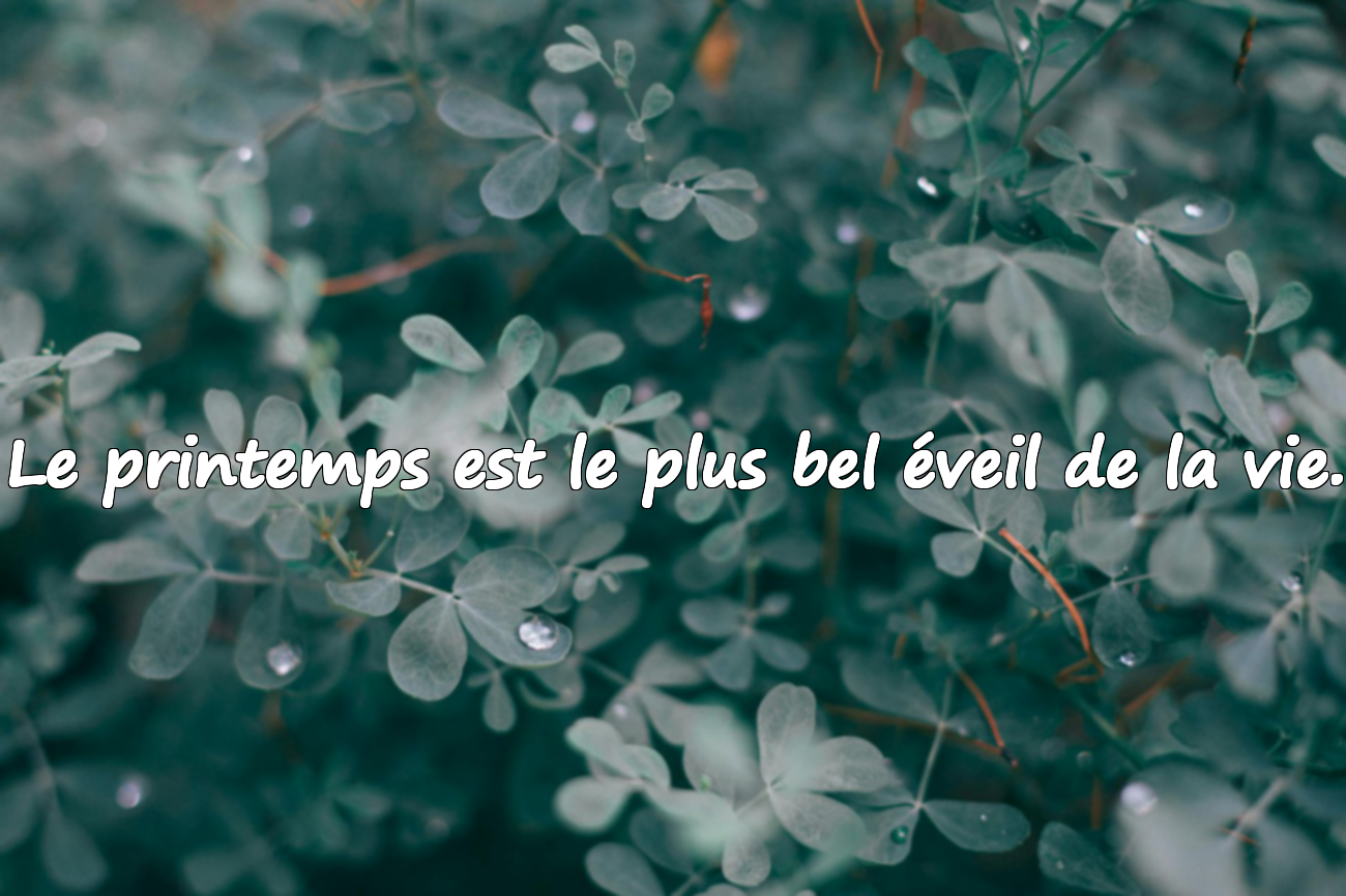 Citations sur le Printemps