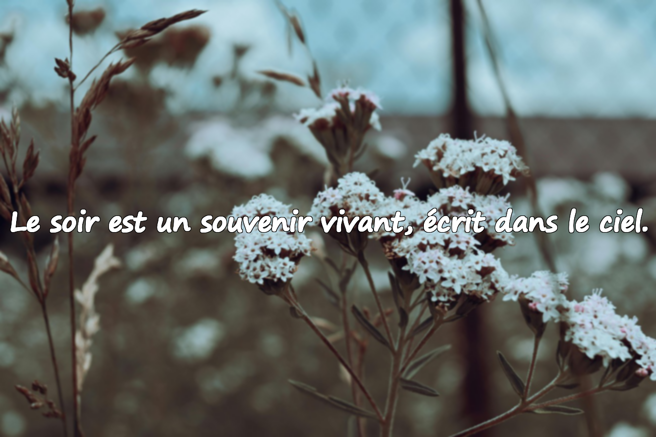 Citations sur le Soir