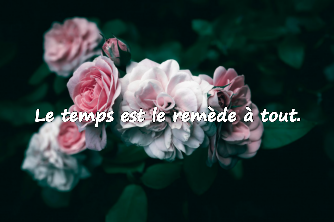Citations sur le Temps