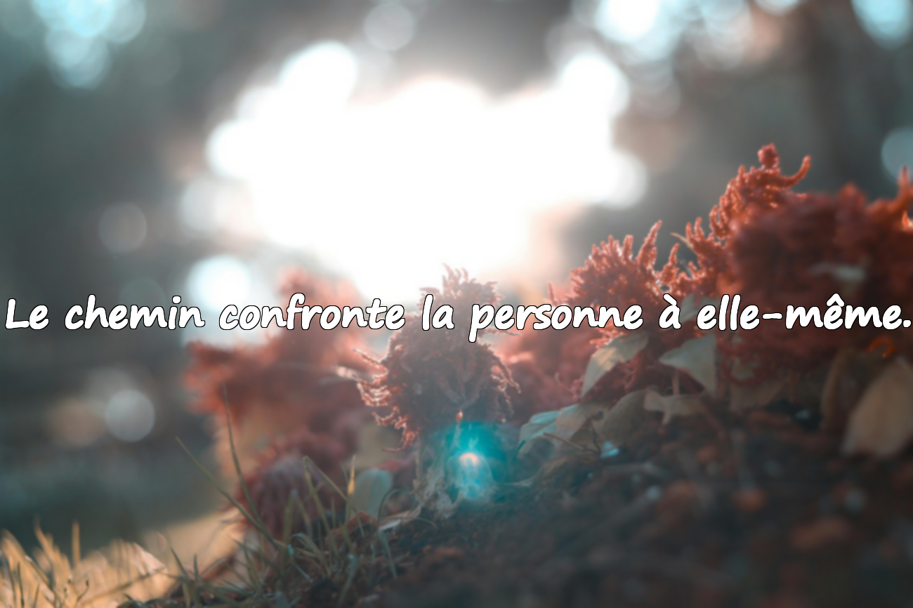 Citations sur le Voyage